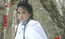 91版电视剧:雪山飞狐的演员名单？雪山飞狐女主角龚慈恩？ 