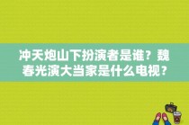 冲天炮山下扮演者是谁？魏春光演大当家是什么电视？ 