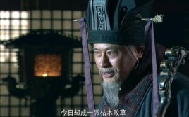 新三国95集版，荀彧死，是哪集？新三国赵子龙是谁饰演的？ 