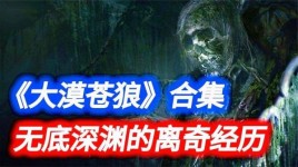 大漠苍狼3绝密深渊结局？绝密飞行结局 