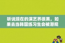 听说现在的演艺界很黑，如果去当韩国练习生会被潜规则吗?出道时会吗？韩国女演员潜规则种子 