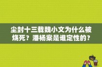 尘封十三载魏小文为什么被烧死？潘杨案是谁定性的？ 