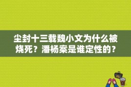 尘封十三载魏小文为什么被烧死？潘杨案是谁定性的？ 