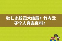 狄仁杰蛇灵大结局？竹内云子个人真实资料？ 