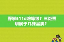 野攀511d啥等级？三炬照明属于几线品牌？ 