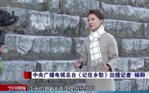 乡愁杨阳真实身高？央视4套女主持人杨阳今年几岁？ 