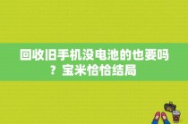 回收旧手机没电池的也要吗？宝米恰恰结局 