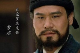 今天偶尔看到新版《水浒传》演员表，其中扮演关胜的宝力高和扮演索超的柳海龙是不是当年的两位散打王啊？新水浒传武大郎扮演者？ 