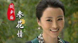 叶落长安花小小的扮演者是谁？故乡面 参花情女演员 