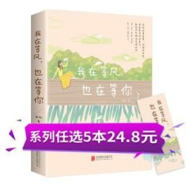 等风也等你那夏小说所有角色名字？风夏结局 