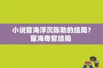 小说官海浮沉陈勃的结局？宦海奇官结局 