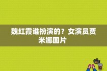 魏红霞谁扮演的？女演员贾米娜图片 