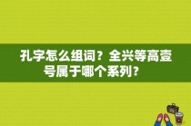 孔字怎么组词？全兴等高壹号属于哪个系列？ 