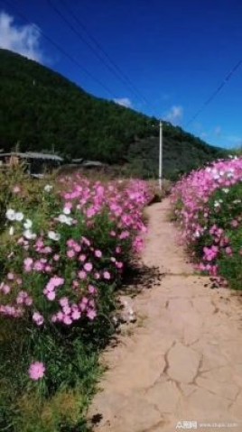 花路是什么意思？松花山什么意思？ 