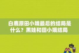 白鹿原田小娥最后的结局是什么？黑娃和田小娥结局 