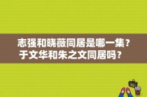 志强和晓薇同居是哪一集？于文华和朱之文同居吗？ 