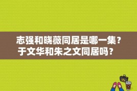 志强和晓薇同居是哪一集？于文华和朱之文同居吗？ 