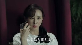 女军统站长抓司令什么电视？人民的名义高小琴被抓第几集？ 