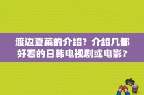 渡边夏菜的介绍？介绍几部好看的日韩电视剧或电影？ 