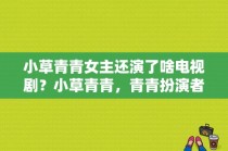 小草青青女主还演了啥电视剧？小草青青，青青扮演者？ 