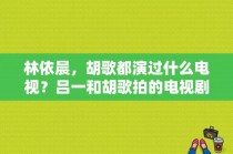 林依晨，胡歌都演过什么电视？吕一和胡歌拍的电视剧？ 