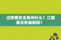 过把瘾女主角叫什么？江珊演员有编制吗？ 