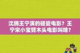 沈腾王宁演的碰瓷电影？王宁宋小宝劈木头电影叫啥？ 