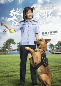 警犬来啦李焰是谁演的金美伶个人资料介绍？警犬来啦何木棉是谁演的，警犬来啦何木棉扮演者个人？ 