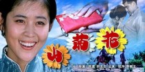 山菊花女主角是谁？急诊室故事桃子是谁演的？ 