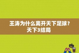 王涛为什么离开天下足球？天下3结局 