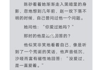 姓沈的三个字小说男主？岁月忽已暮赵一玫结局？ 