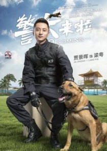 冯茗惊在陈情令饰演什么？警犬来了何木棉扮演者是谁结局跟梁粤在一起了吗？ 