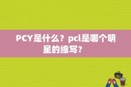 PCY是什么？pcl是哪个明星的缩写？ 