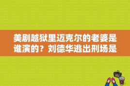 美剧越狱里迈克尔的老婆是谁演的？刘德华逃出刑场是什么电影？ 