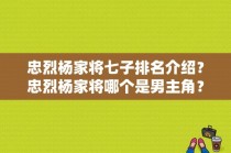 忠烈杨家将七子排名介绍？忠烈杨家将哪个是男主角？ 