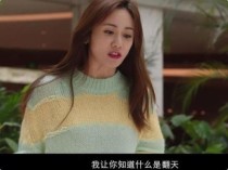 闪耀的她人物介绍？全职妓女演员 