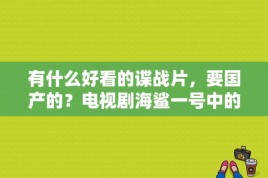 有什么好看的谍战片，要国产的？电视剧海鲨一号中的何必清是谁伴演的？ 