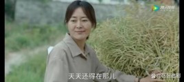 县委大院晚菊扮演者？问一下吉林卫视每天下午17:05《办公室的故事》扮演杨杨、乐乐是谁？ 