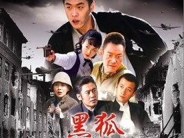 《黑狐》电视剧的演员表，写详细哦，全部演员的？电视剧黑狐的演员名单？ 