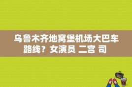 乌鲁木齐地窝堡机场大巴车路线？女演员 二宫 司 