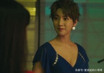 使徒行者电影女主？使徒行者4谁演的？ 