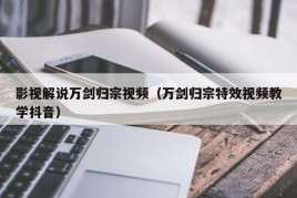 影视解说万剑归宗视频（万剑归宗特效视频教学抖音）