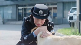 警花与警犬樱桃和妞妞大结局？电影狗牙结局是什么 