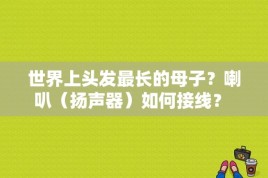 世界上头发最长的母子？喇叭（扬声器）如何接线？ 