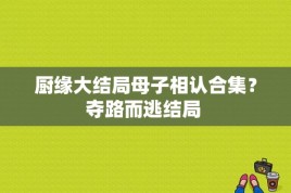 厨缘大结局母子相认合集？夺路而逃结局 