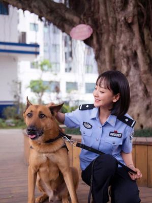 警犬来啦李焰是谁演的金美伶个人资料介绍？警犬来啦何木棉是谁演的，警犬来啦何木棉扮演者个人？ 