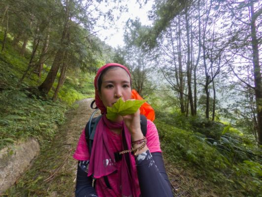 爬山专用歌曲？登山的味道 女演员 