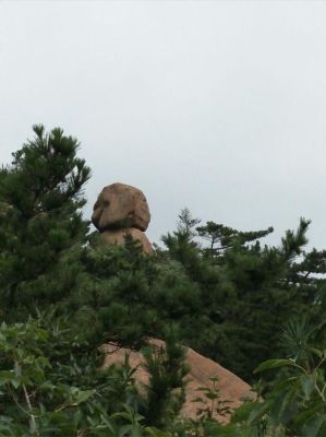 槎山风景区游览路线？海雾里怎么领取100瓶酒？ 