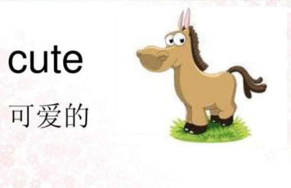 so cute中文是什么意思？cute发音怎么？ 