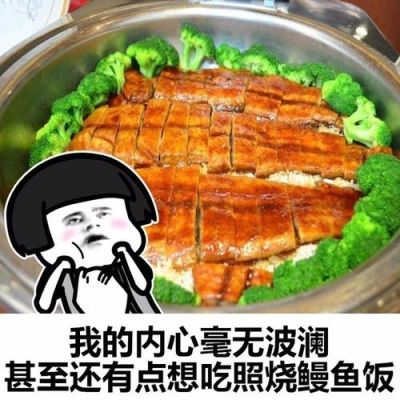 我的内心毫无波动甚至还想吃黄焖鸡米饭是什么意思？姓氏爱新觉罗的现代人？ 